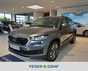 Skoda Skoda KODIAQ TOUR 2,0 TDI/150 PS/ DSG/COLUMBUS Gebrauchtwagen