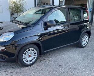 Fiat Fiat Panda Hybrid Klima ZV+FB Radio Gebrauchtwagen