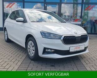 Skoda Skoda Fabia 1.0 Selection *TEMPO*SHZ*VirtualCo*PDC Gebrauchtwagen