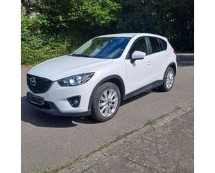 Mazda Mazda CX-5 Sports-Line AWD / 1 Hand Gebrauchtwagen