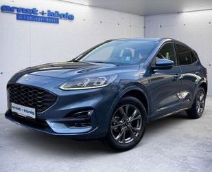 Ford Ford Kuga 2.5 Duratec PHEV ST-LINE X AHK SCHWENKBA Gebrauchtwagen