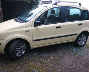 Fiat Fiat Panda Gebrauchtwagen