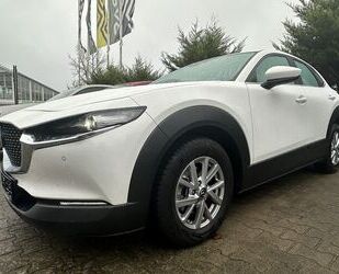 Mazda Mazda CX-30 Exclusive-Line + DASO Gebrauchtwagen