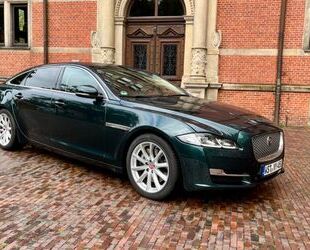 Jaguar Jaguar XJ LANG (LWB) Premium Luxury 3.0 V6 Diesel Gebrauchtwagen