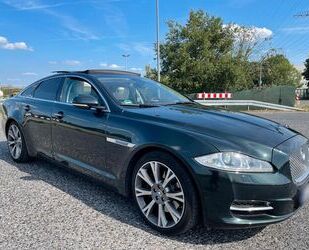 Jaguar Jaguar XJ Luxury 3.0 V6 Diesel Luxury Gebrauchtwagen