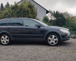 Skoda Skoda Octavia 2.0 TDI 4x4 Scout Combi Scout Gebrauchtwagen