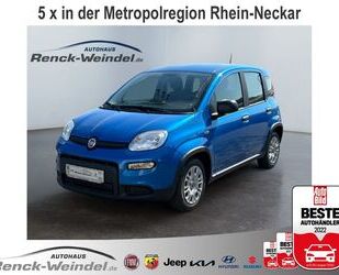 Fiat Fiat Panda 1.0 GSE DAB Klima BT el.SP Spieg. behei Gebrauchtwagen