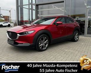 Mazda Mazda CX-30 2.0 (180PS) AWD Schalter Selection Des Gebrauchtwagen