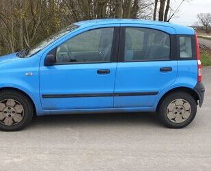 Fiat Fiat Panda Gebrauchtwagen