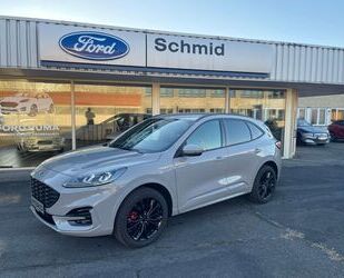 Ford Ford Kuga Hybrid Graphite Tech Edition Gebrauchtwagen