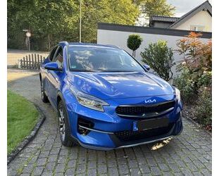 Kia Kia XCeed 1.5 T-GDI Edition 7 Edition 7 Gebrauchtwagen