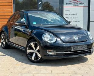 VW Volkswagen Beetle Lim. Sport Gebrauchtwagen