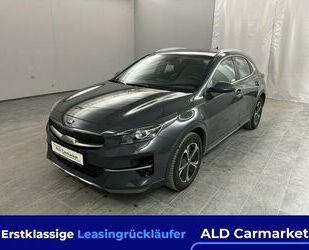 Kia Kia XCeed 1.6 GDI DCT6 OPF Plug-in-Hybrid Vision G Gebrauchtwagen