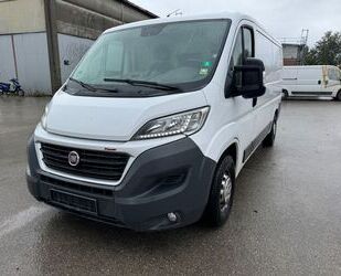 Fiat Ducato Gebrauchtwagen