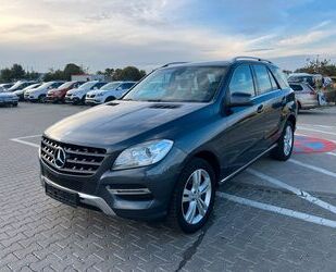 Mercedes-Benz Mercedes-Benz ML 250 ML -Klasse ML 250 CDI BlueTec Gebrauchtwagen