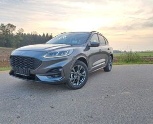 Ford Ford Kuga 2.5 PHEV ST-Line X AHK Gebrauchtwagen