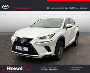 Lexus Lexus NX 300h Amazing Edition Gebrauchtwagen