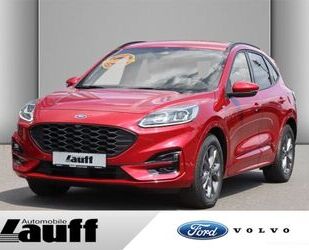 Ford Ford Kuga ST-Line 1.5 ltr. Ecoblue ACC LED Gebrauchtwagen