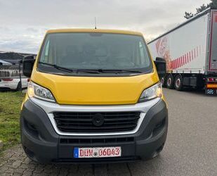 Fiat Fiat Ducato Kasten 30 150 L2H1 RS: 3450 mm Tüv neu Gebrauchtwagen