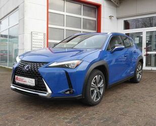 Lexus Lexus UX 300e Luxury Paket 360Grad Leder Headup Gebrauchtwagen