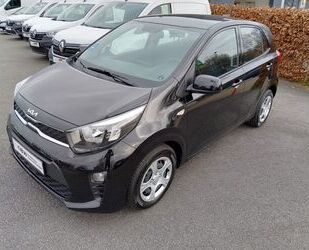 Kia Kia Picanto 1.2 Edition 7 Drive Gebrauchtwagen