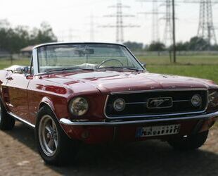 Ford Ford Mustang Cabrio V8 302 Gebrauchtwagen