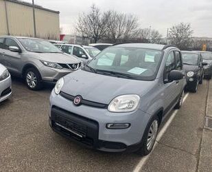 Fiat Fiat Panda City Life,Car-Play,Hybrid,Orig.16TKM,8f Gebrauchtwagen