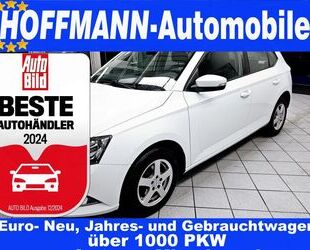 Skoda Skoda Fabia Active Allwetterreifen,PDC,Klima,Alufe Gebrauchtwagen