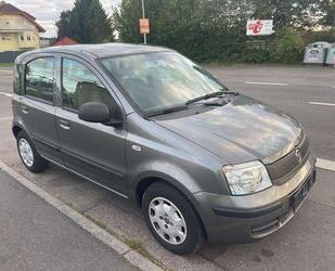 Fiat Fiat Panda 1.2 *Klima*Tüv Neu* Gebrauchtwagen