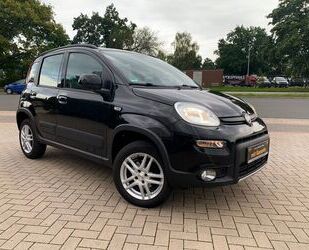 Fiat Fiat Panda 4x4 Klimaaut PDC Teilleder SHz 1-Hand Gebrauchtwagen