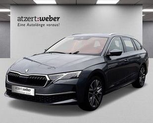 Skoda Skoda Octavia Combi 2.0 TDI DSG Selection AHK Pano Gebrauchtwagen