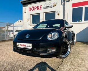 VW Volkswagen Beetle 1.4 TSi PDC SHZ Klimaauto 19 Zol Gebrauchtwagen