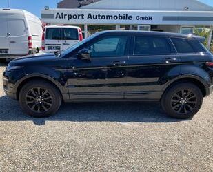 Land Rover Land Rover Evoque SE,Black Edition,Panorama,Leder, Gebrauchtwagen