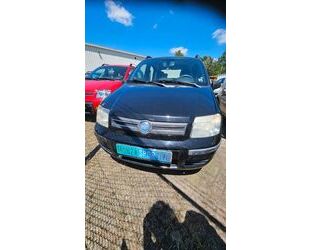 Fiat Fiat Panda 1.2 8V Dynamic,Klima, AHK, Radio-CD Gebrauchtwagen