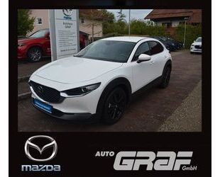 Mazda Mazda CX-30 SELECTION Navi HuD ACC PDC LED Gebrauchtwagen