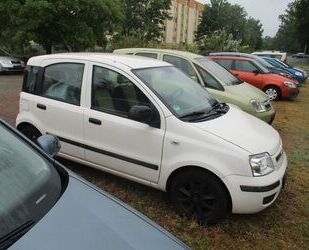 Fiat Fiat Panda 1.2 8V Dynamic 1.Hand Finanzierung mögl Gebrauchtwagen