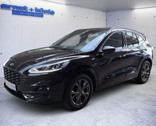 Ford Ford Kuga 1.5 EcoBlue Aut. ST-LINE NAVI+KLIMA+Pake Gebrauchtwagen