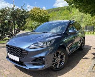 Ford Ford Kuga 1.5 EcoBoost ST-LINE Gebrauchtwagen