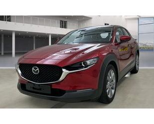 Mazda Mazda CX-30 Selection 2WD 2.0 SKYACTIV-G MHEV ACC Gebrauchtwagen