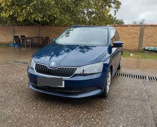 Skoda Skoda Fabia 1.2l TSI 66kW Active Active Gebrauchtwagen