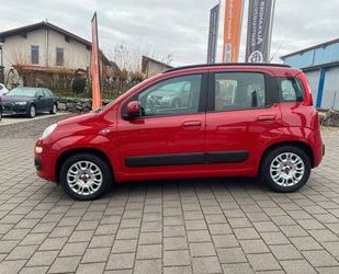 Fiat Fiat Panda 0.9 Automatik Gebrauchtwagen