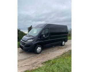 Fiat Fiat Ducato/ Ausbau Camper/ Airlineschiene Gebrauchtwagen