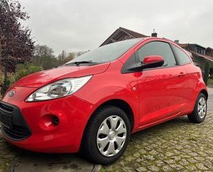 Ford Ford Ka 1,2 , Champions League! TÜV und AU mach ic Gebrauchtwagen