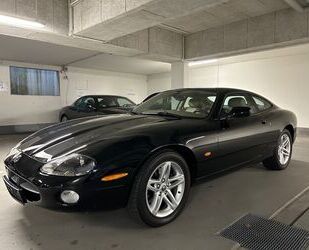 Jaguar Jaguar XK8 4.2 Coupe MY 2004 **1.Hd**Navi**Xenon 1 Gebrauchtwagen