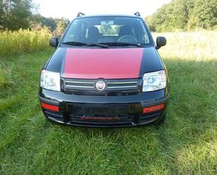 Fiat Fiat New Panda 1.2 8V Edizione Magnifica HU neu Gebrauchtwagen