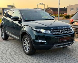 Land Rover Land Rover Range Rover Evoque Pure 4x4 AHK SHZ Tem Gebrauchtwagen