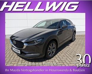 Mazda Mazda CX-30 2.0l Skyactiv-X Edition 100 Leder Bose Gebrauchtwagen