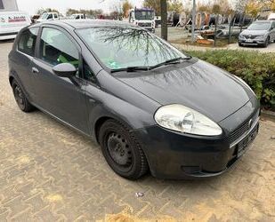 Fiat Fiat Punto 1.4 8V Active Active Gebrauchtwagen