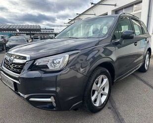 Subaru Subaru FORESTER 2.0 Exclusive 4X4 / WR / AHK / Pan Gebrauchtwagen