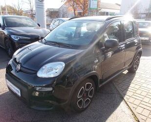 Fiat Fiat Panda 1.0 Mild Hybrid Gebrauchtwagen